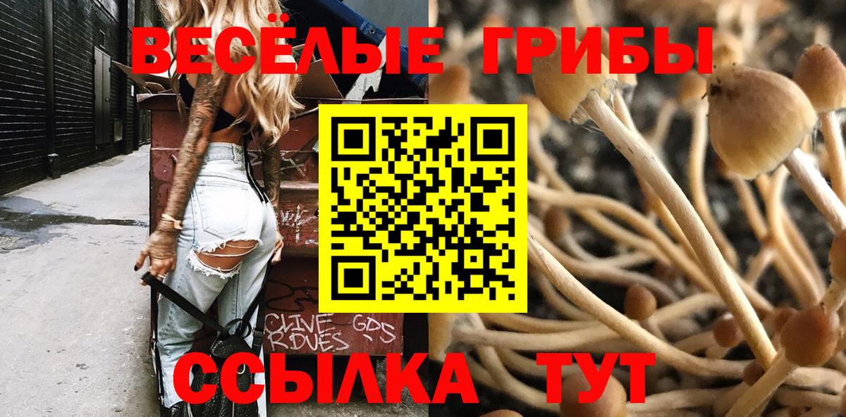 Верхняя Пышма  Галлюциногенные грибы ЛСД  Вход с VPN 